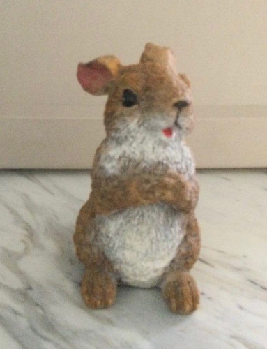 Cute brown rabbit - cute,